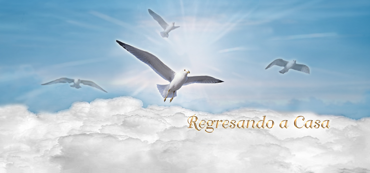 Regresando a Casa Birds Clouds Blue